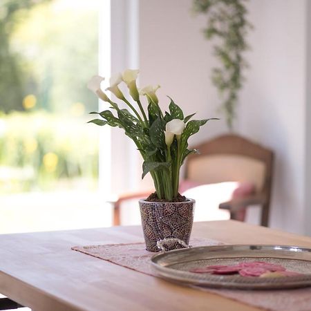 Ferienwohnung Schwalbennest Weinsheim  Luaran gambar