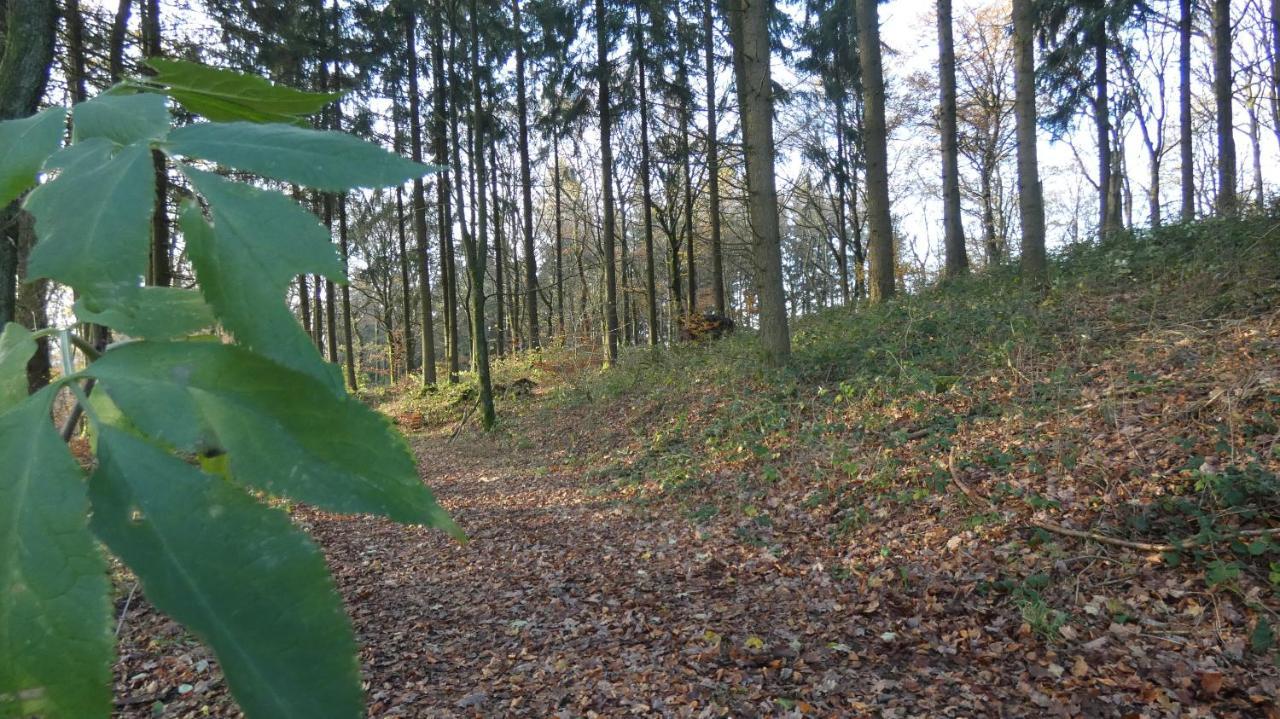 Ferienwohnung Schwalbennest Weinsheim  Luaran gambar